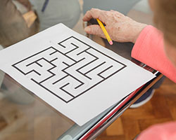 Cognitive and Perceptual Rehabilitation